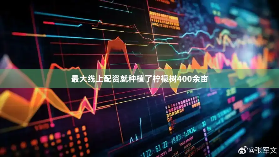 最大线上配资就种植了柠檬树400余亩