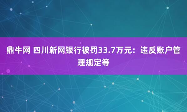 鼎牛网 四川新网银行被罚33.7万元：违反账户管理规定等