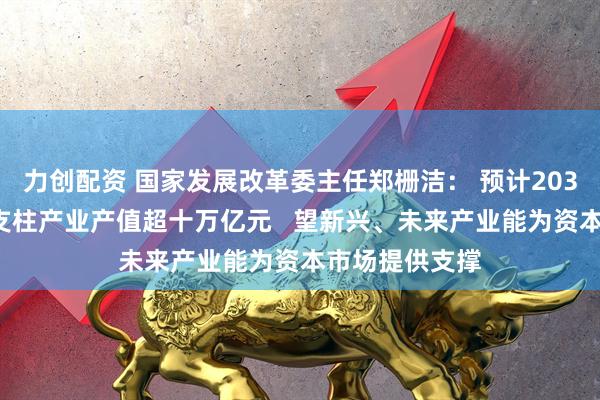 力创配资 国家发展改革委主任郑栅洁： 预计2030年六大新兴支柱产业产值超十万亿元   望新兴、未来产业能为资本市场提供支撑