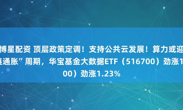 博星配资 顶层政策定调！支持公共云发展！算力或迎“全链通胀”周期，华宝基金大数据ETF（516700）劲涨1.23%