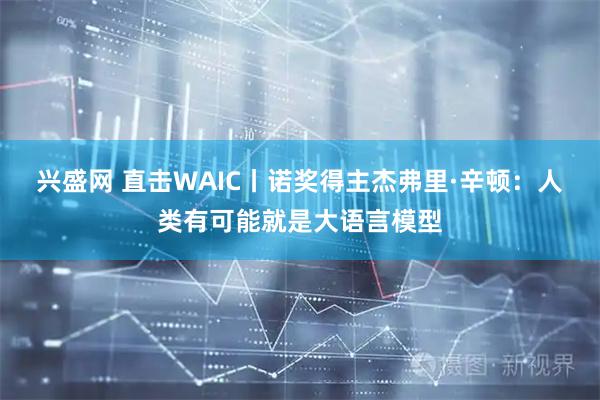 兴盛网 直击WAIC丨诺奖得主杰弗里·辛顿：人类有可能就是大语言模型
