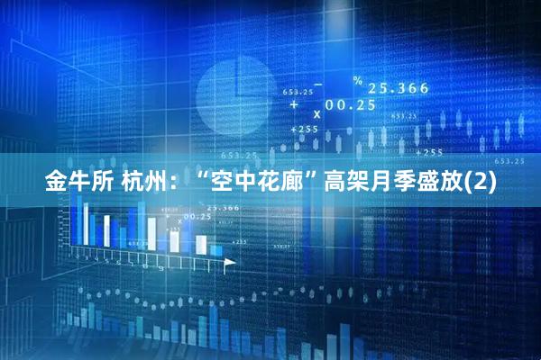 金牛所 杭州：“空中花廊”高架月季盛放(2)