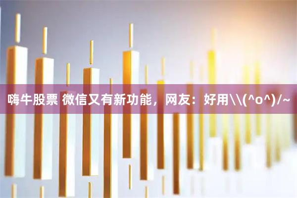 嗨牛股票 微信又有新功能，网友：好用\(^o^)/~