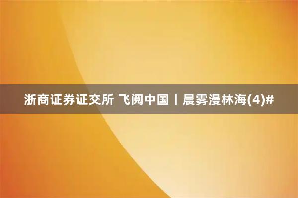 浙商证券证交所 飞阅中国丨晨雾漫林海(4)#