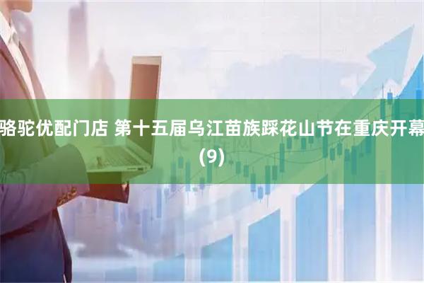 骆驼优配门店 第十五届乌江苗族踩花山节在重庆开幕(9)